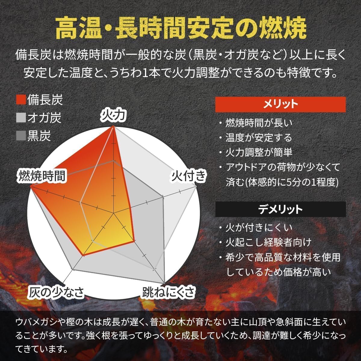 Amazon.co.jp: 紀州産備長炭 2kg バーベキュー BBQ 炭 白炭 長期間燃焼